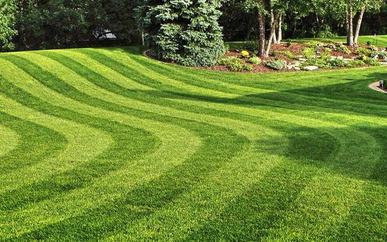 Lawn Care & Weekly Mowing in Lake Worth, Florida