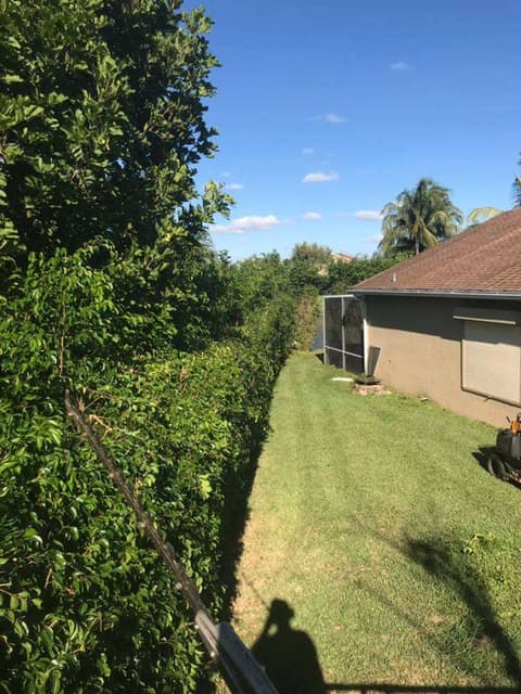 Drainage Systems & French Drains in Lake Worth, Florida