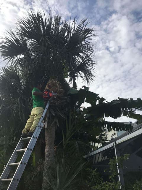 Landscaping in Boynton Beach, Florida
