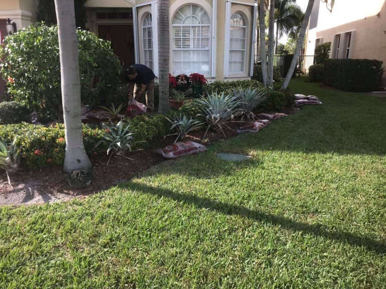 Landscaping in Boca Raton, Florida