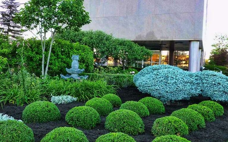 Commercial & HOA Landscaping in Lake Worth, Florida