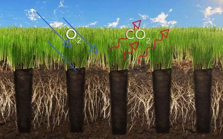 Lawn Aeration & Renovation in Lake Worth, Florida