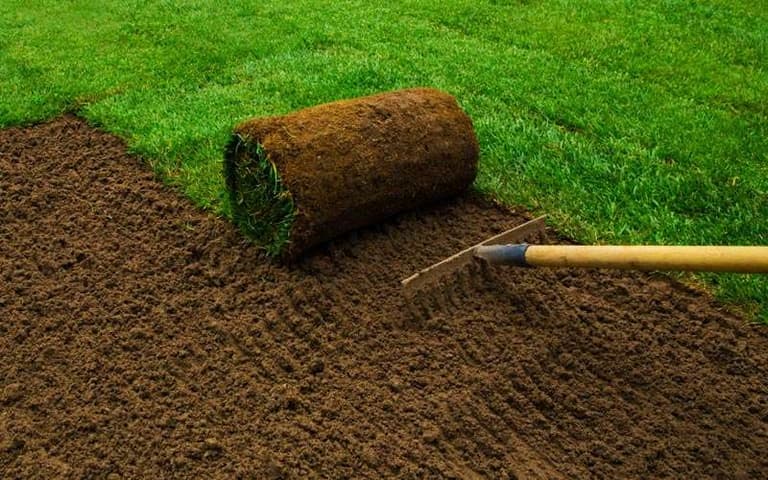 Sod Installation & Lawn Replacement in Lake Worth, Florida
